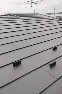 ichikawa_myouden_yane